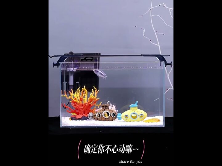 [ID: naVYy_d3TDc] Youtube Automatic