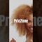 Shop Smart Shop PricZone